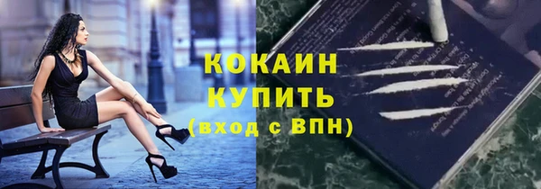 МДПВ Богородск