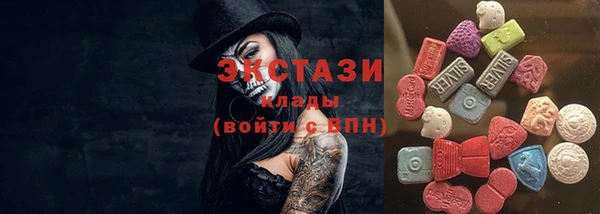 МДПВ Богородск